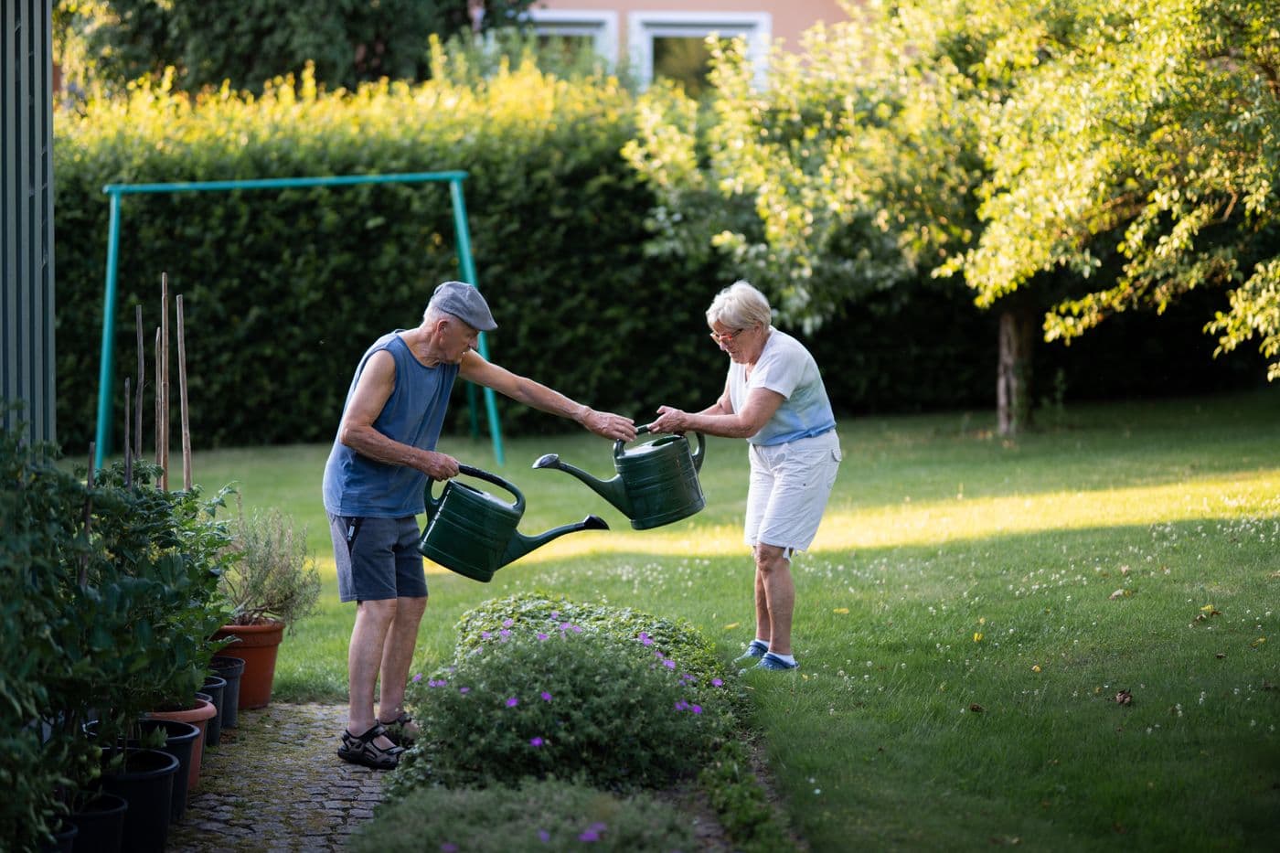 An older couple watering the garden together outside their home on a summer evening